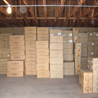 Wholesale firewoks